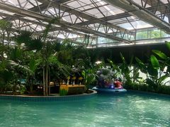 -南宫五洲植物乐园