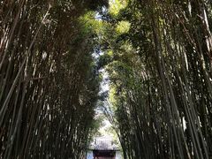 -采石矶景区