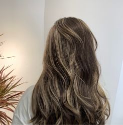 -BULB STUDIO 巴柏明星发型工作室