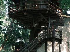 -乌村