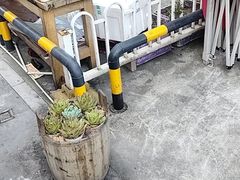 -塘屋烧烤·云南火塘烧烤品牌(春城慧谷旗舰店)