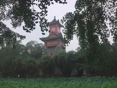 -四川大学(华西校区)