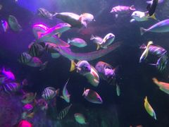 -沈阳海洋探索中心