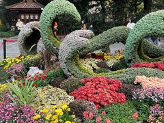 -杭州植物园