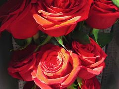 -ROSEONLY诺誓(广州K11店)