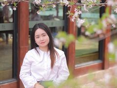 -东湖磨山景区樱花园-停车场