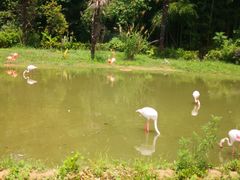 -杭州野生动物世界