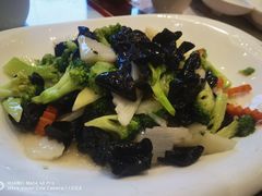 -添福来墨鱼饺子 · 海鲜东北菜(大连星海·黄浦路店)