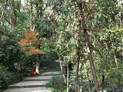 -杭州半山国家森林公园