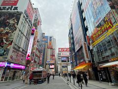 -秋叶原电器街