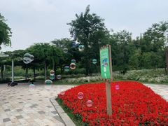 -黄龙溪欢乐田园