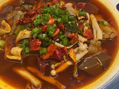 渝信毛血旺-渝信川菜(西单店)