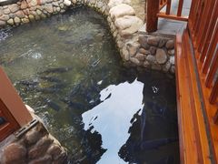 -耕渔小院·湖南鱼鲜(望城店)