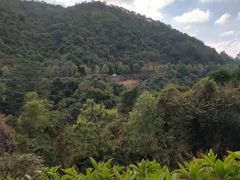 -火炉山森林公园