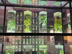 -广东中医药博物馆
