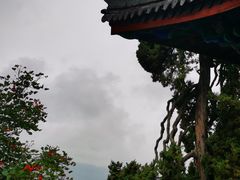 -木府