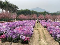 -盈香心动乐园