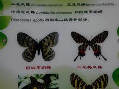 -上海昆虫博物馆