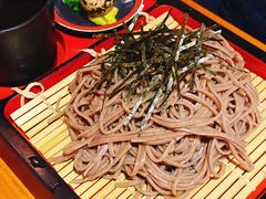 荞麦冷面-有喜屋·深夜食堂(北京西路店)