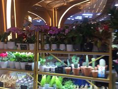 -茶马花街(城西银泰城店)