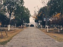 -楚望台遗址公园