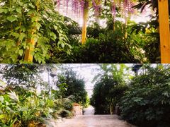 -天源吉布世温泉水乐园