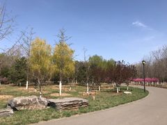 -永定河休闲森林公园