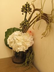 -金芙美月子中心(财富别墅店)