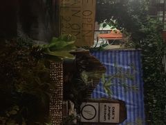 -Jungle Kitchen