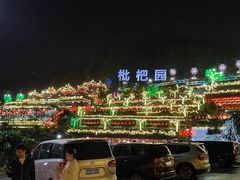 -枇杷园食为鲜火锅(南山店)