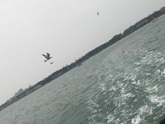 -蓬莱仙岛