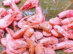 -青岛金沙滩希尔顿酒店·自助餐厅