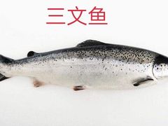 -济南海鲜大市场
