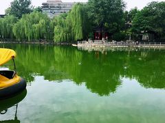 -莲湖公园