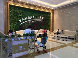 -玛丽亚妇产医院