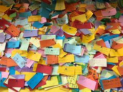 -志龙皇冠吃货椰子铺