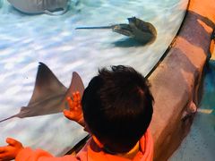 -沈阳海洋探索中心