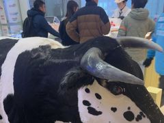 -红星前进面包牛奶公司(君太店)