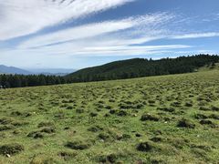 -芦芽山旅游度假区