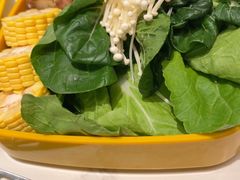 -润园四季椰子鸡火锅(南山海岸城店)