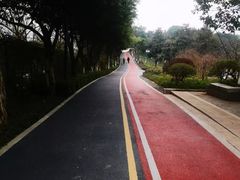 -大渡口区义渡公园