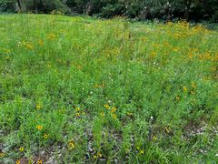 -福建鲤鱼洲酒店