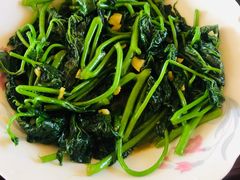 -南汇新场正宗水蜜桃采摘