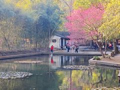 -兰亭风景区