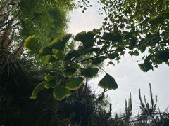 -莲池书院博物馆