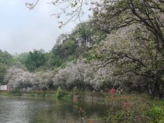 -星湖旅游景区七星岩