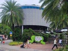 -圣淘沙天际线斜坡滑车
