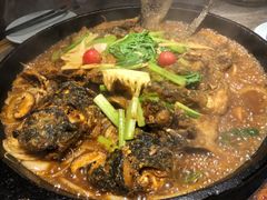 老板恋上鱼-老板恋上鱼(恒隆广场店)