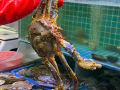 -震海贝烤贝·民俗特色店(延吉总店)