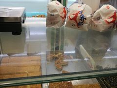 -上海哈尔滨食品厂(淮海中路店)